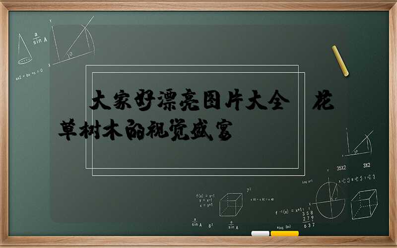 大家好漂亮图片大全:花草树木的视觉盛宴